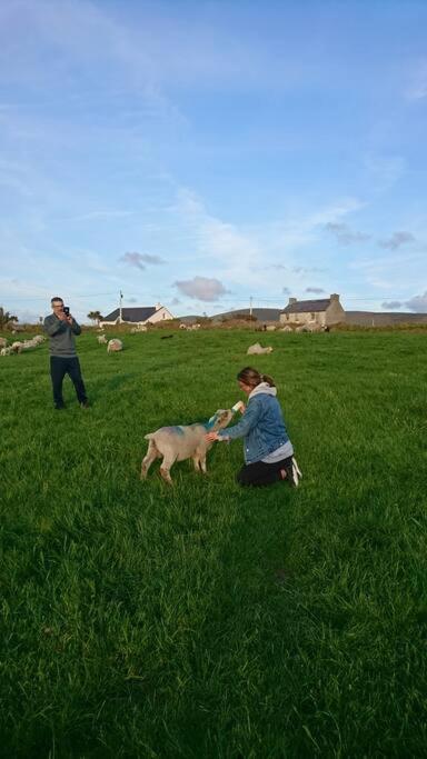 Ferienwohnung Skellig View Bluebell Rose&The Kerry Cliffs Portmagee Exterior foto
